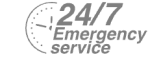 24/7 Emergency Service Pest Control in Southall, UB1, UB2. Call Now! 020 8166 9746