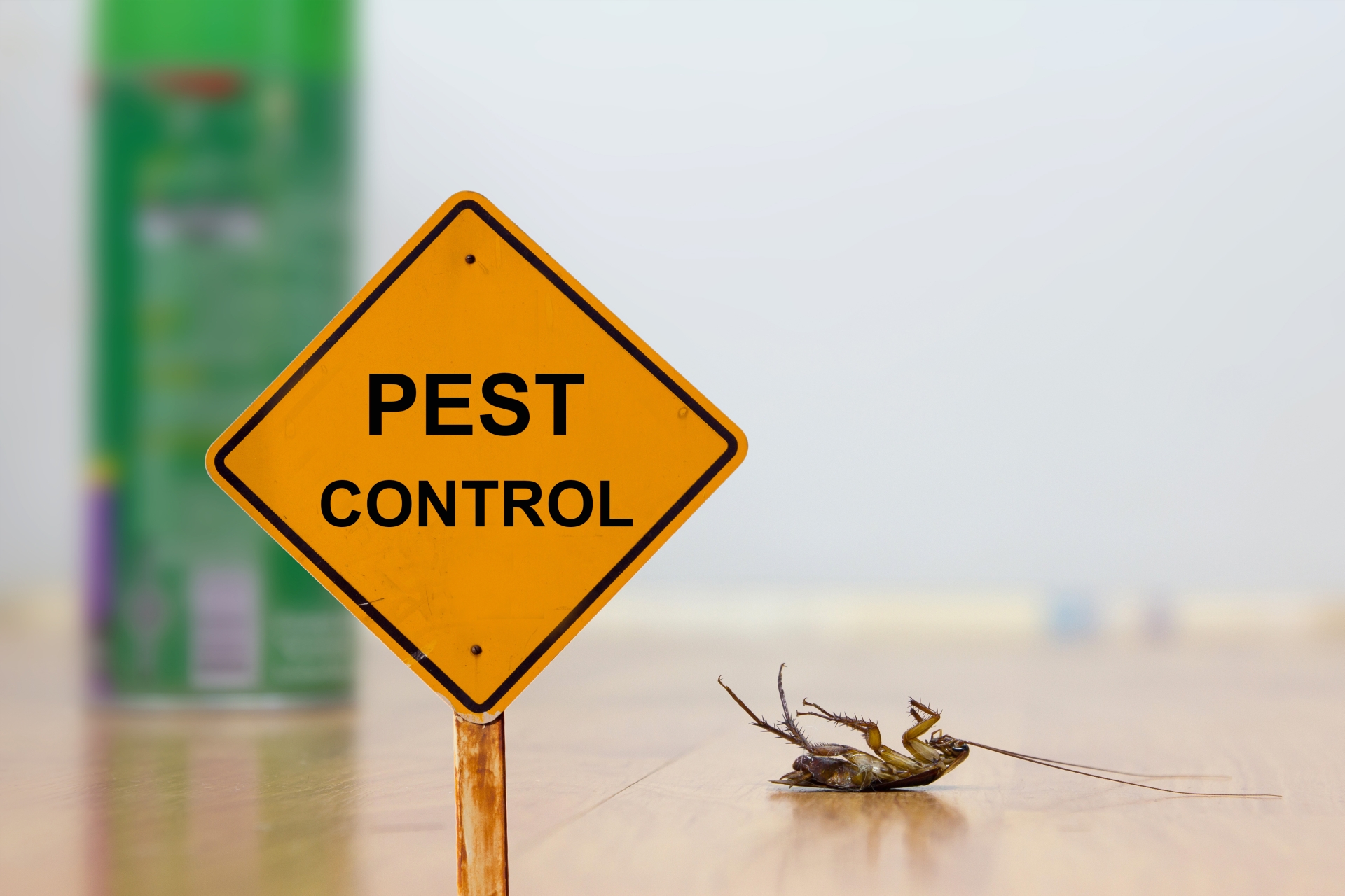 24 Hour Pest Control, Pest Control in Southall, UB1, UB2. Call Now 020 8166 9746